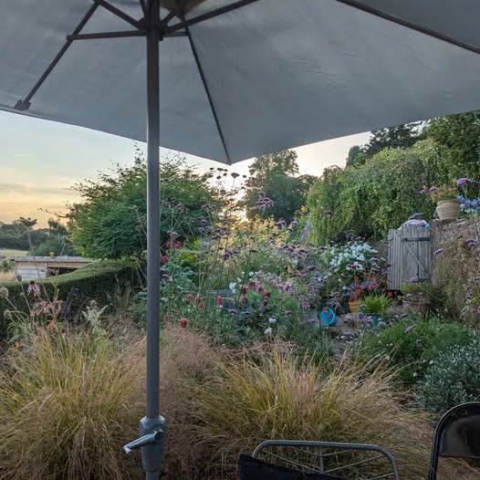 Planting & Advice by Robin's Garden