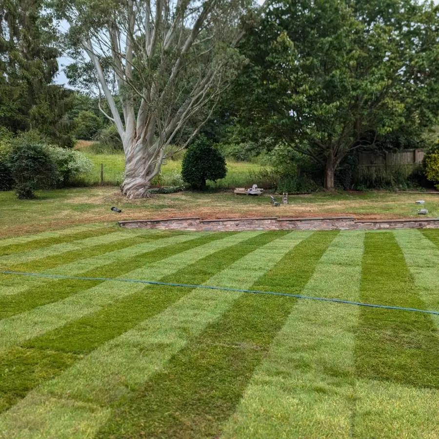 Lawn Care by Robin's Garden
